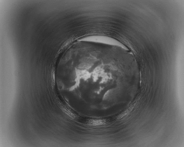 X0000116800349200912241205