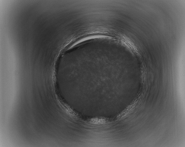 X0000116800354200912241206