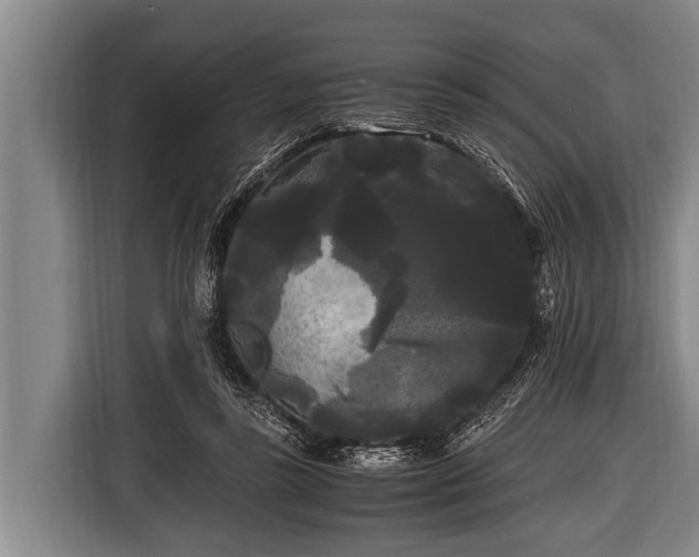 X0000116800355200912241206