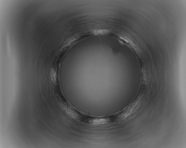 X0000116800357200912241206