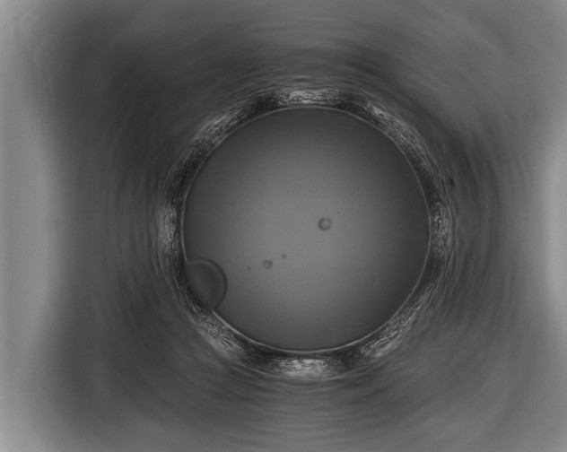 X0000116800361200912241206