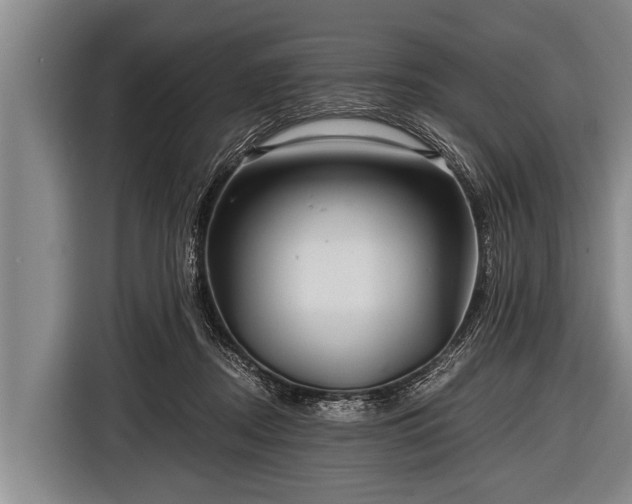 X0000116800362200912241206