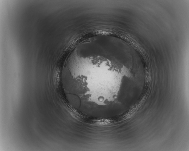 X0000116800363200912241206