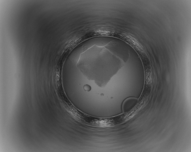 X0000116800365200912241206