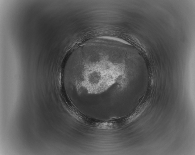 X0000116800366200912241206