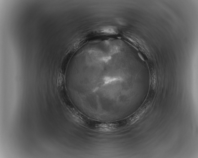 X0000116800367200912241206