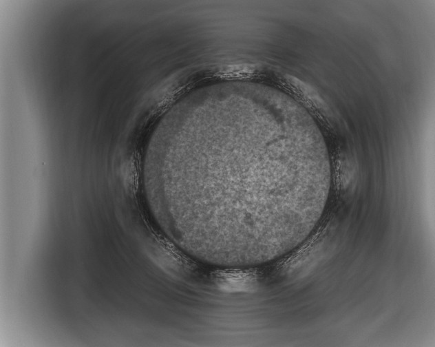 X0000116800370200912241206