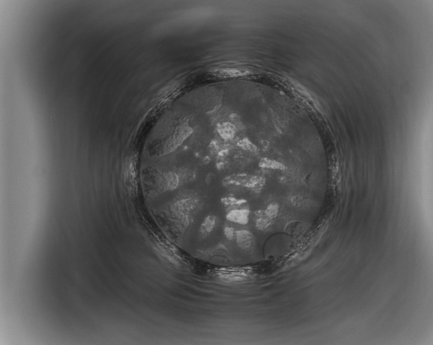 X0000116800373200912241206