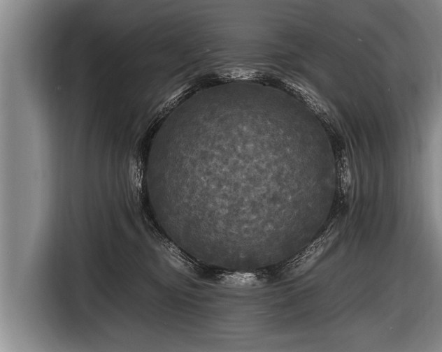 X0000116800374200912241206