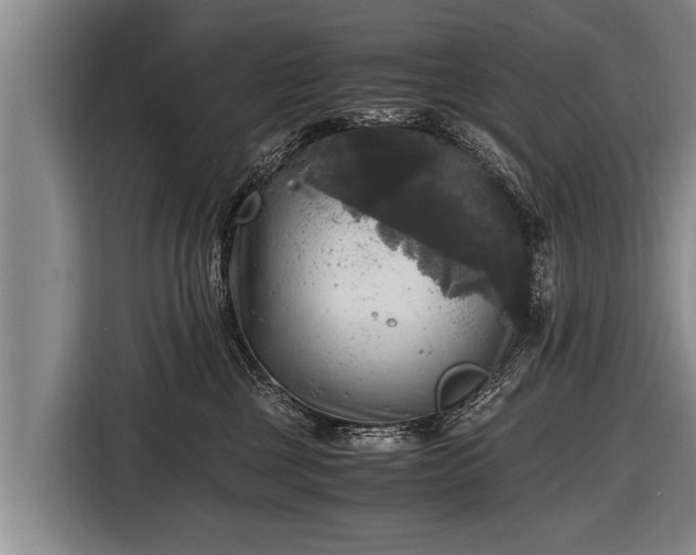 X0000116800377200912241206