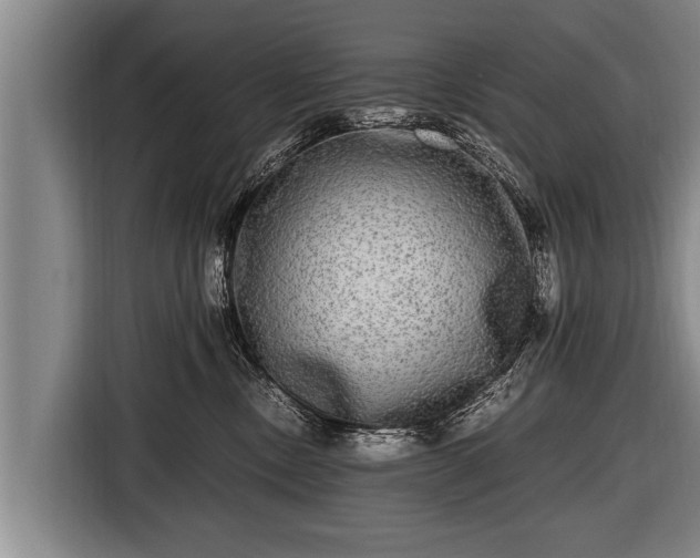 X0000116800378200912241206