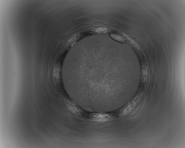 X0000116800379200912241206