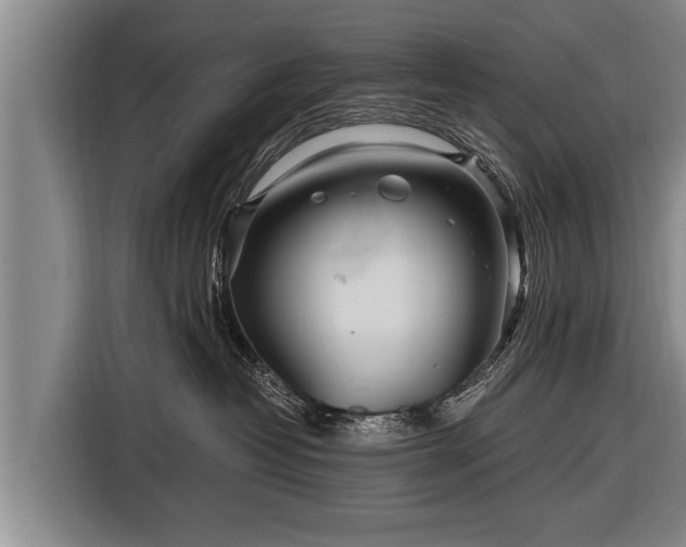 X0000116800382200912241206