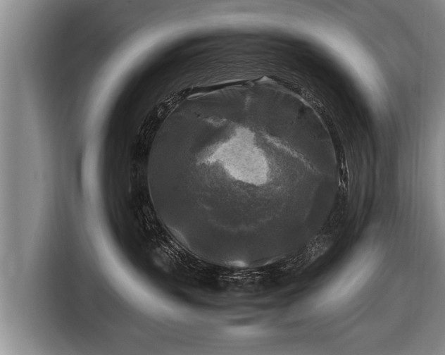 X0000116800383200912241206