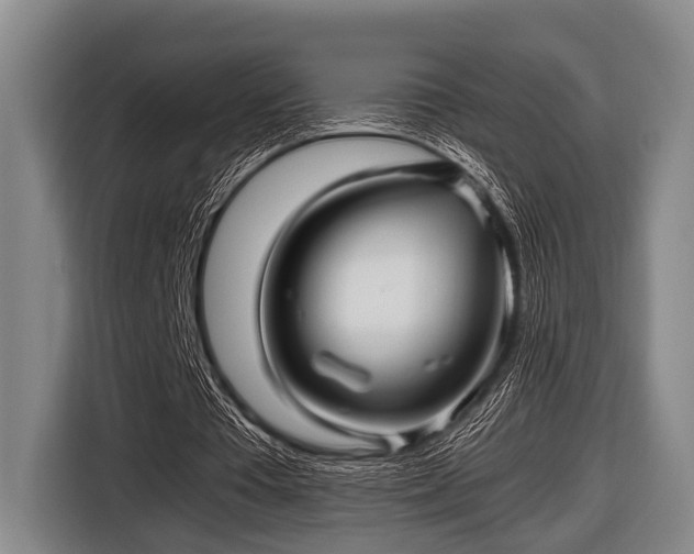 X0000116800385200912241205