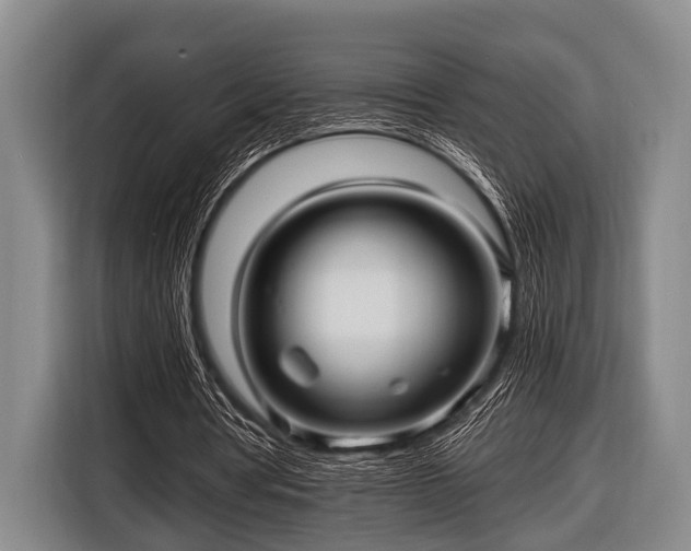 X0000116800386200912241205