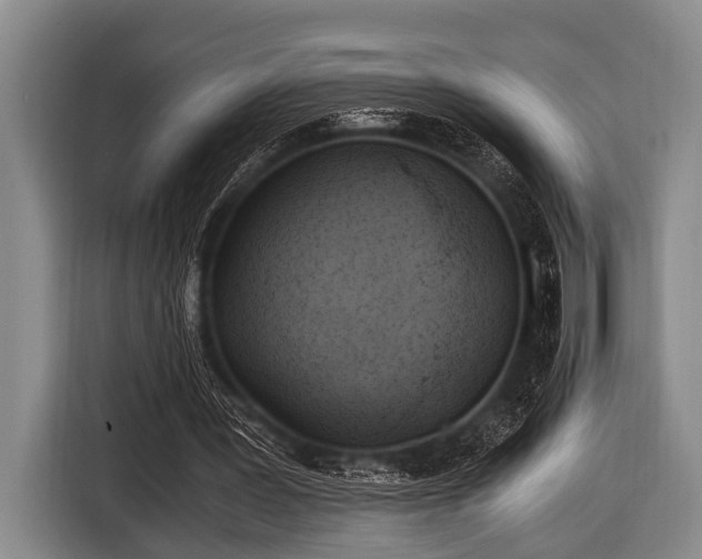 X0000116800387200912241205