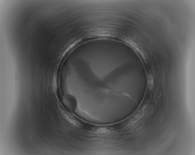 X0000116800390200912241205