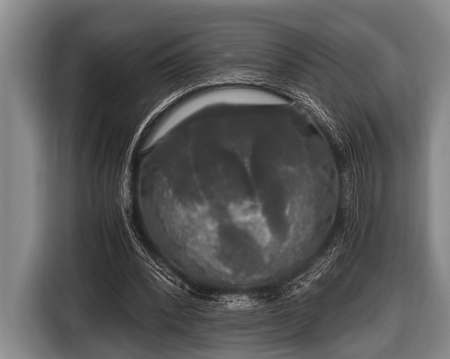 X0000116800392200912241205