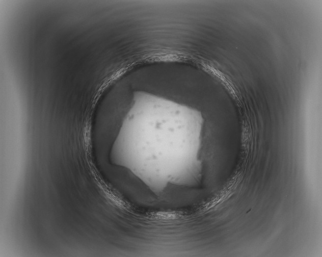 X0000116800394200912241205