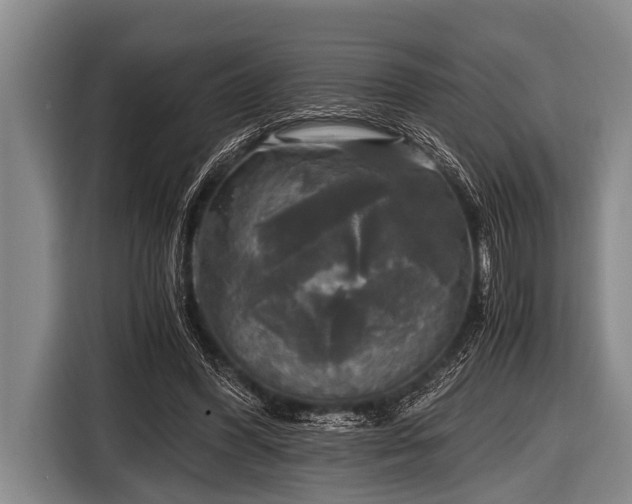 X0000116800396200912241205