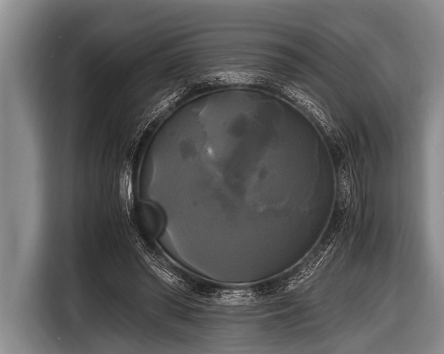 X0000116800398200912241205