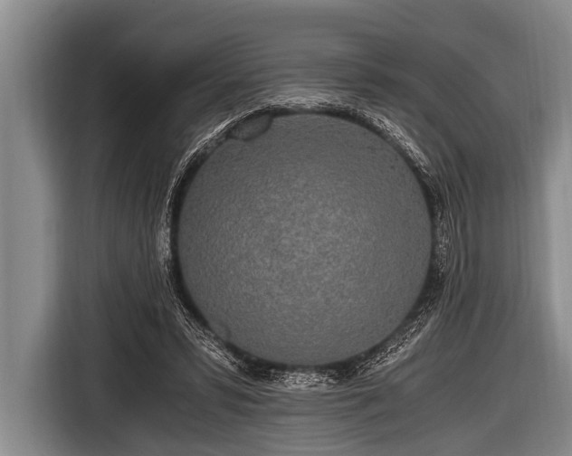 X0000116800399200912241205