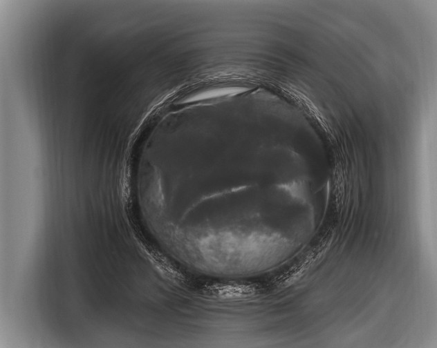 X0000116800400200912241205