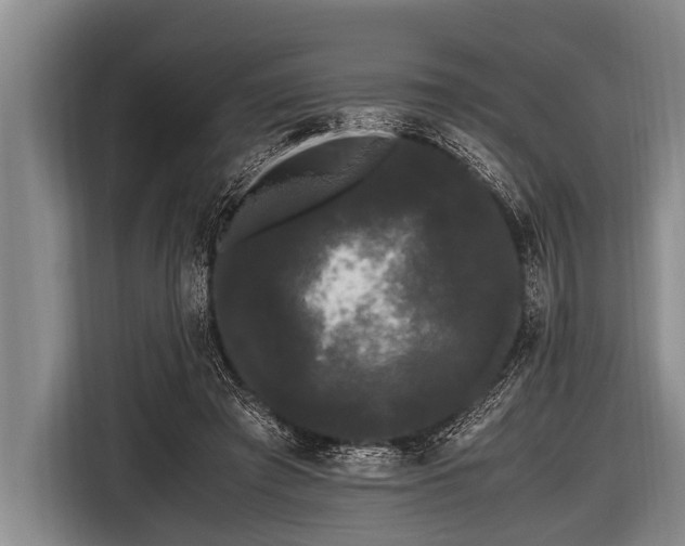 X0000116800401200912241205