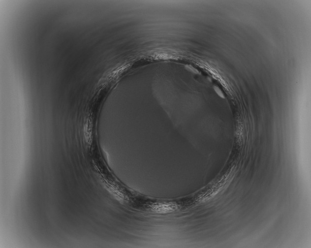 X0000116800402200912241205