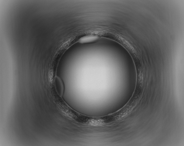 X0000116800403200912241205