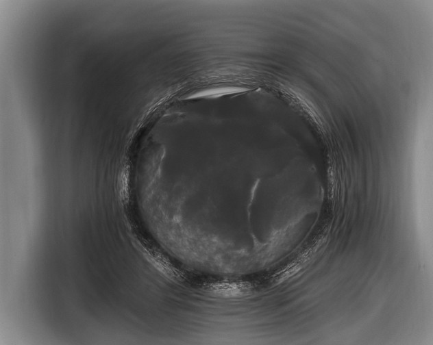 X0000116800404200912241205