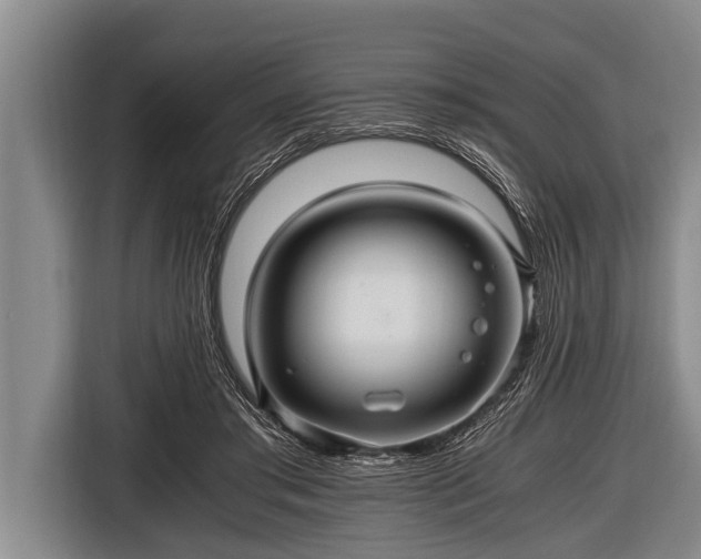 X0000116800405200912241205