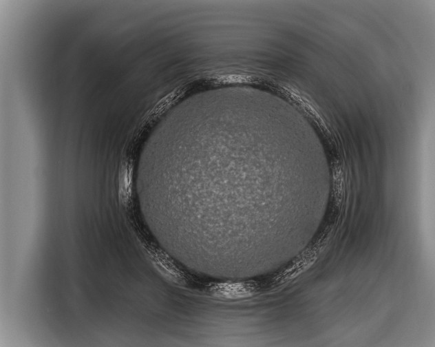 X0000116800406200912241205