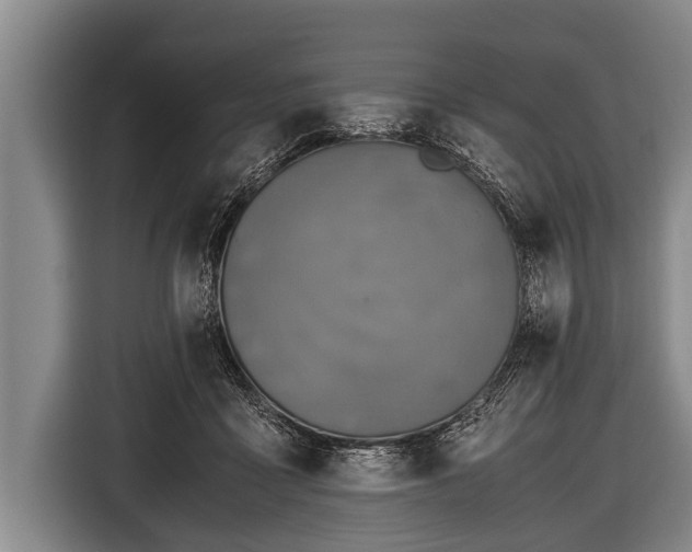 X0000116800411200912241205