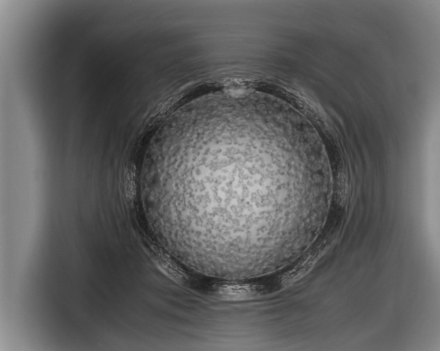 X0000116800413200912241205