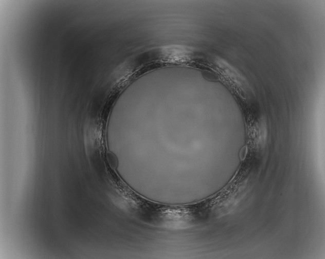 X0000116800415200912241205