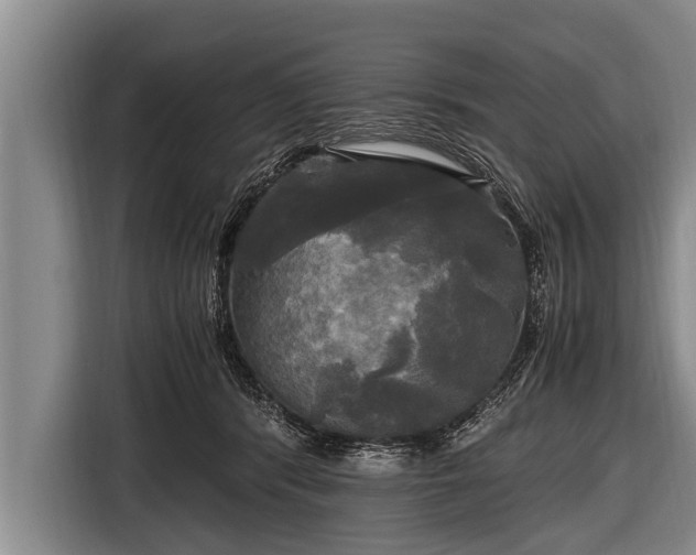 X0000116800416200912241205