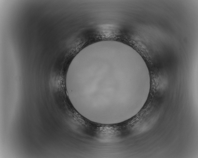 X0000116800419200912241205