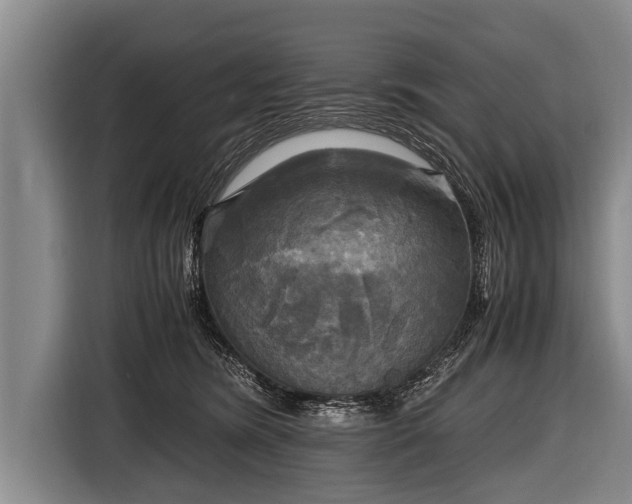 X0000116800420200912241205