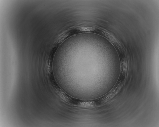 X0000116800422200912241205