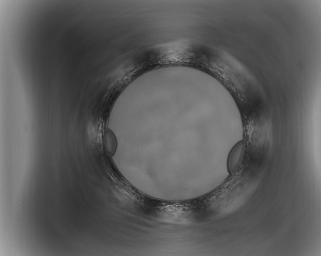 X0000116800423200912241205