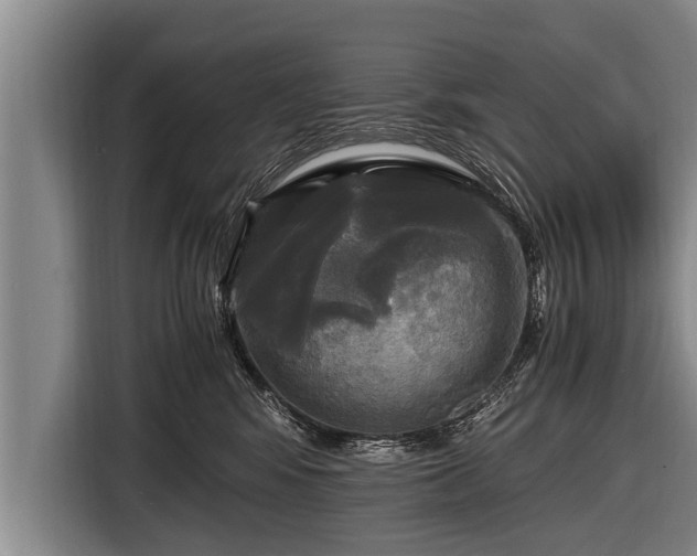 X0000116800424200912241205