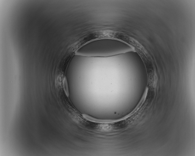 X0000116800425200912241205