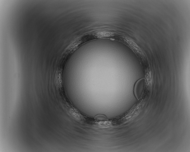 X0000116800426200912241205