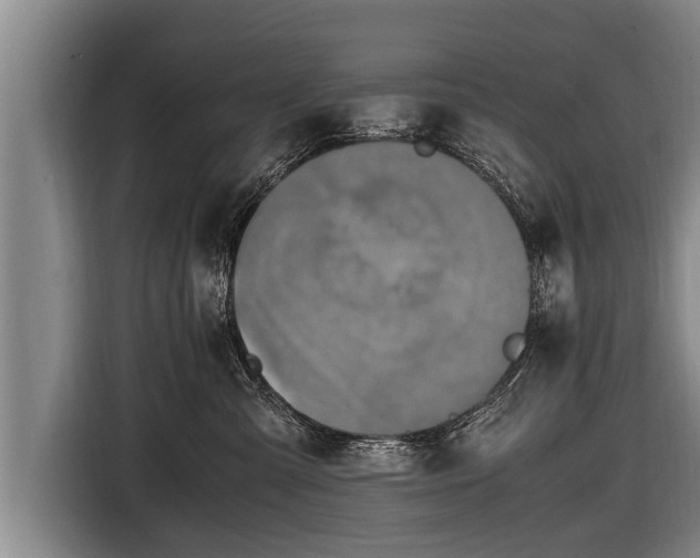 X0000116800427200912241205