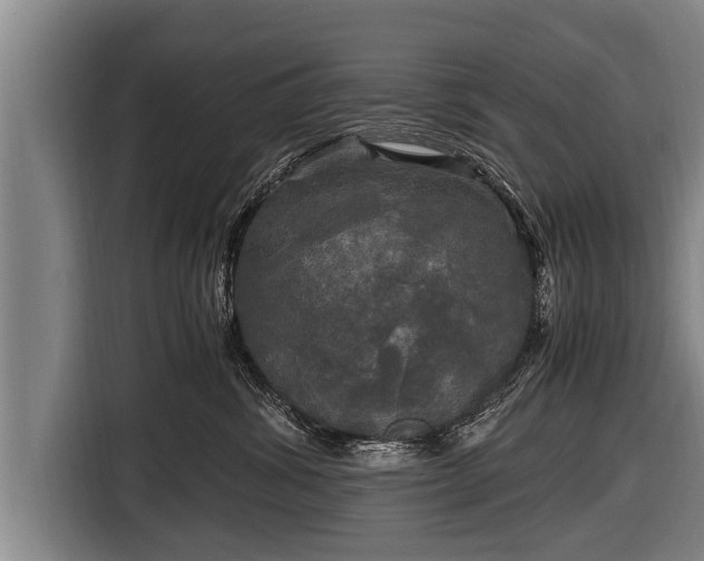 X0000116800428200912241205