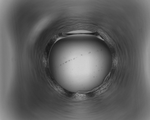 X0000116800429200912241205