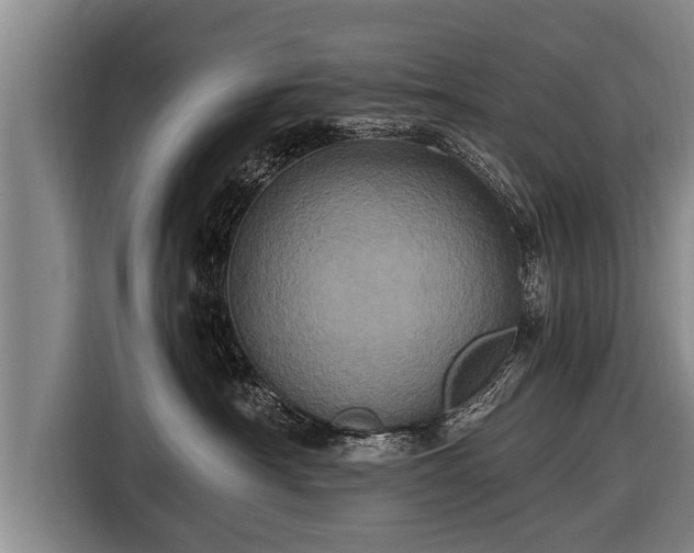 X0000116800430200912241205