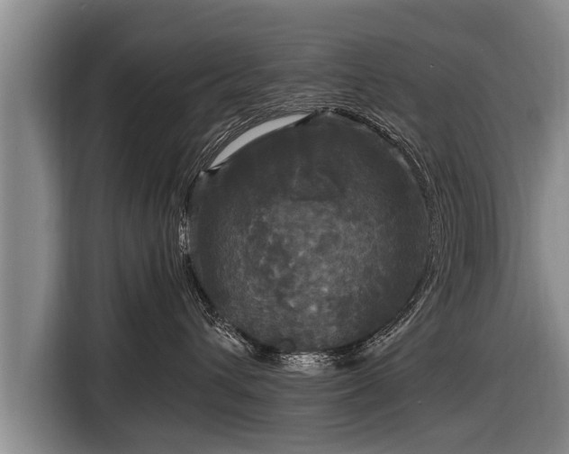 X0000116800432200912241205